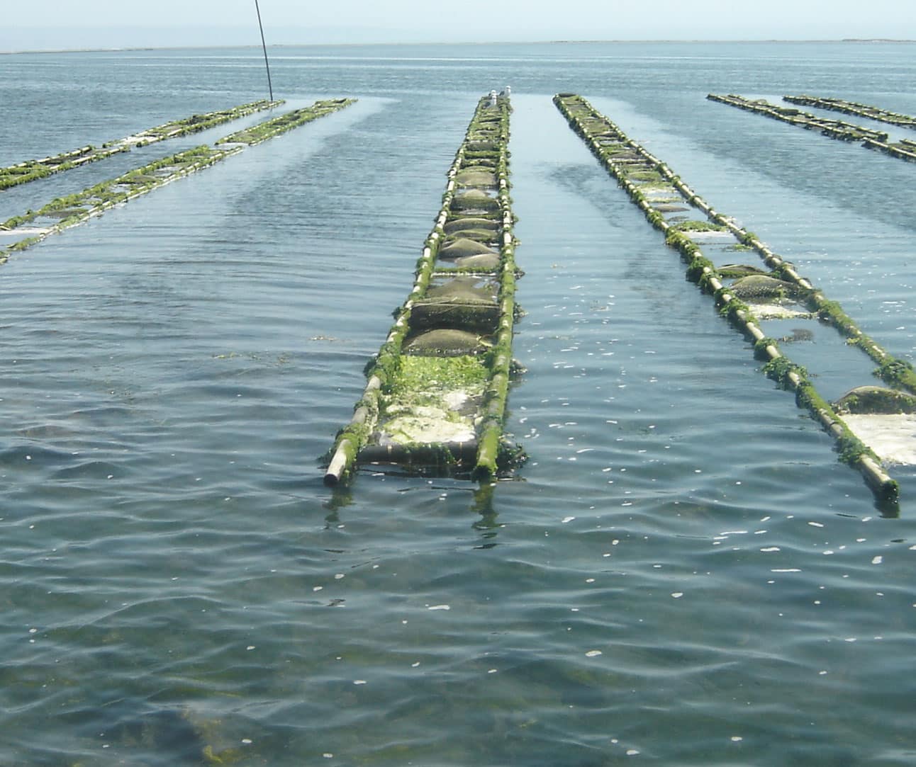 Custom-Aquaculture-Mesh-Floating
