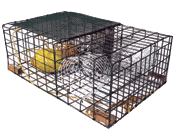 marine_trap_mesh marine_trap_mesh