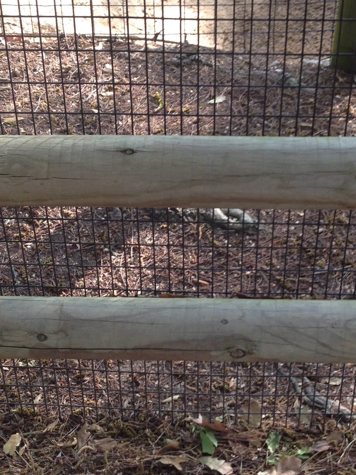 houston zoo mesh fencing