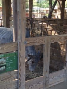 houston zoo mesh fencing